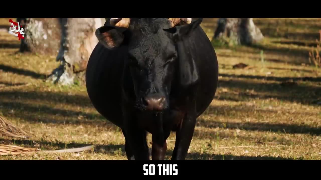 THE MINDSET OF HIGH ACHIEVERS - Powerful Motivational Video for Real Success in Life