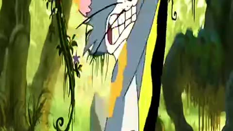 Tom and jarry funny vidieo