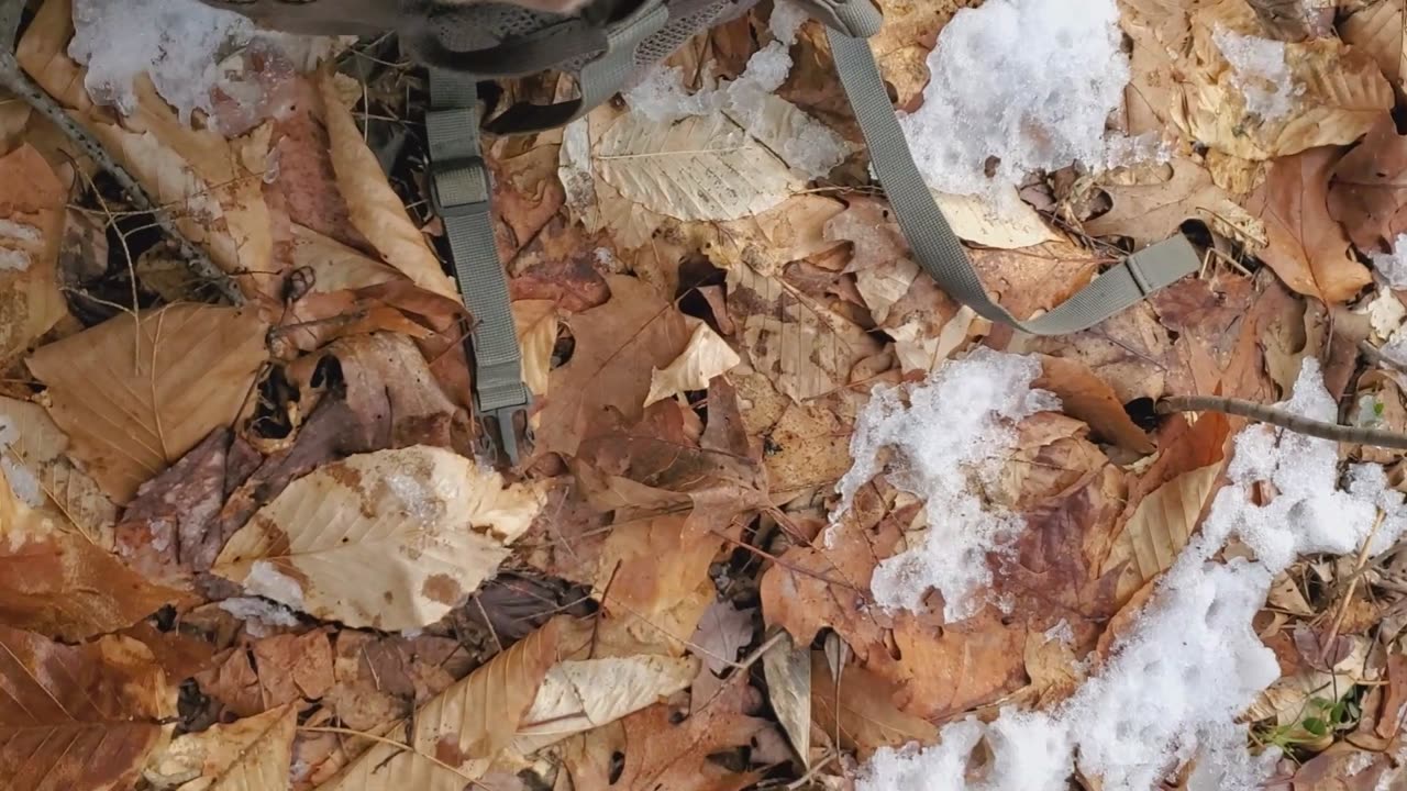 Epic Metal Detecting Find!