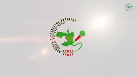 ሐምሌ 21-2025 ONM-ABO እለታዊ የኦሮሞ ነፃነት ሰራዊትና የኦሮሚያ ውሎ!