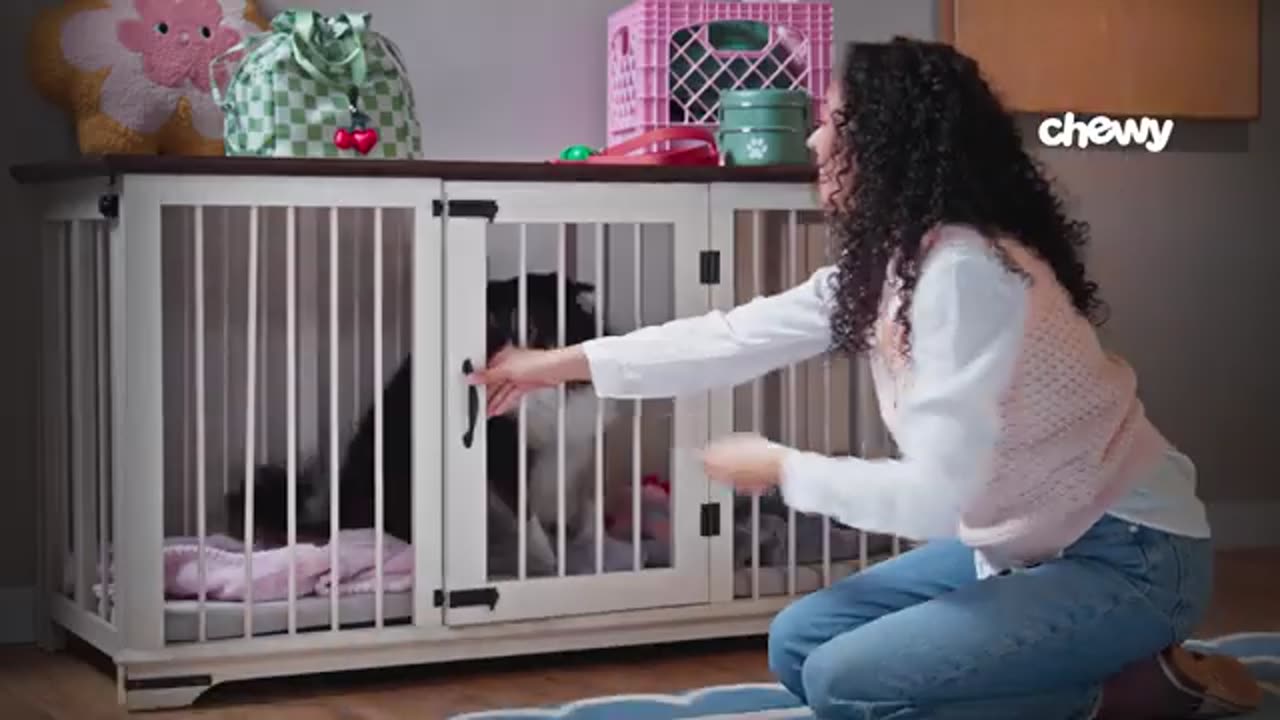 How To Keep Your Dog Off the Couch | Chewtorials