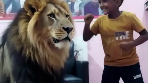 Fight with lion muphasa