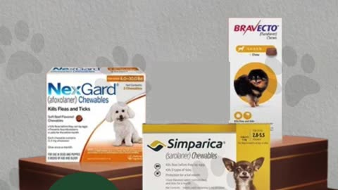 Keep Your Pets Safe from Fleas & Ticks