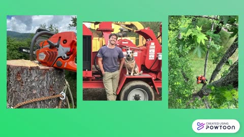 tree service Asheville
