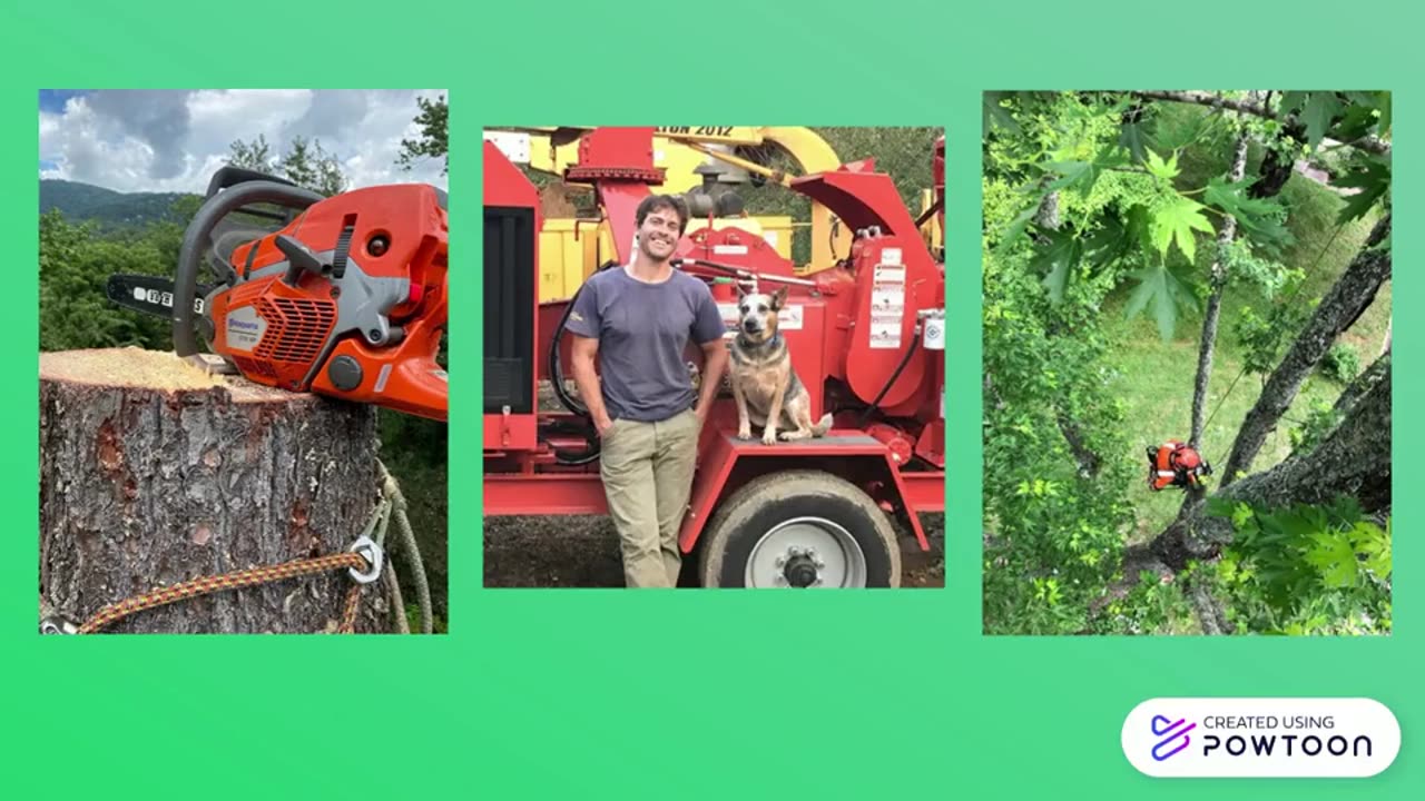 tree service Asheville