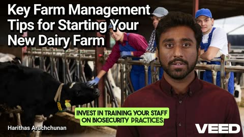 Kickstart Your Dairy Farm: 5 Essential Tips