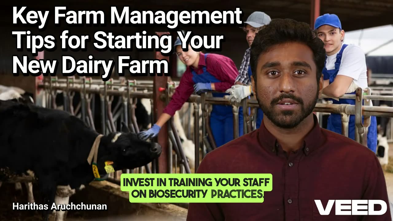 Kickstart Your Dairy Farm: 5 Essential Tips