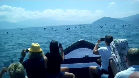 Visiting Pelican Island in Macedonia