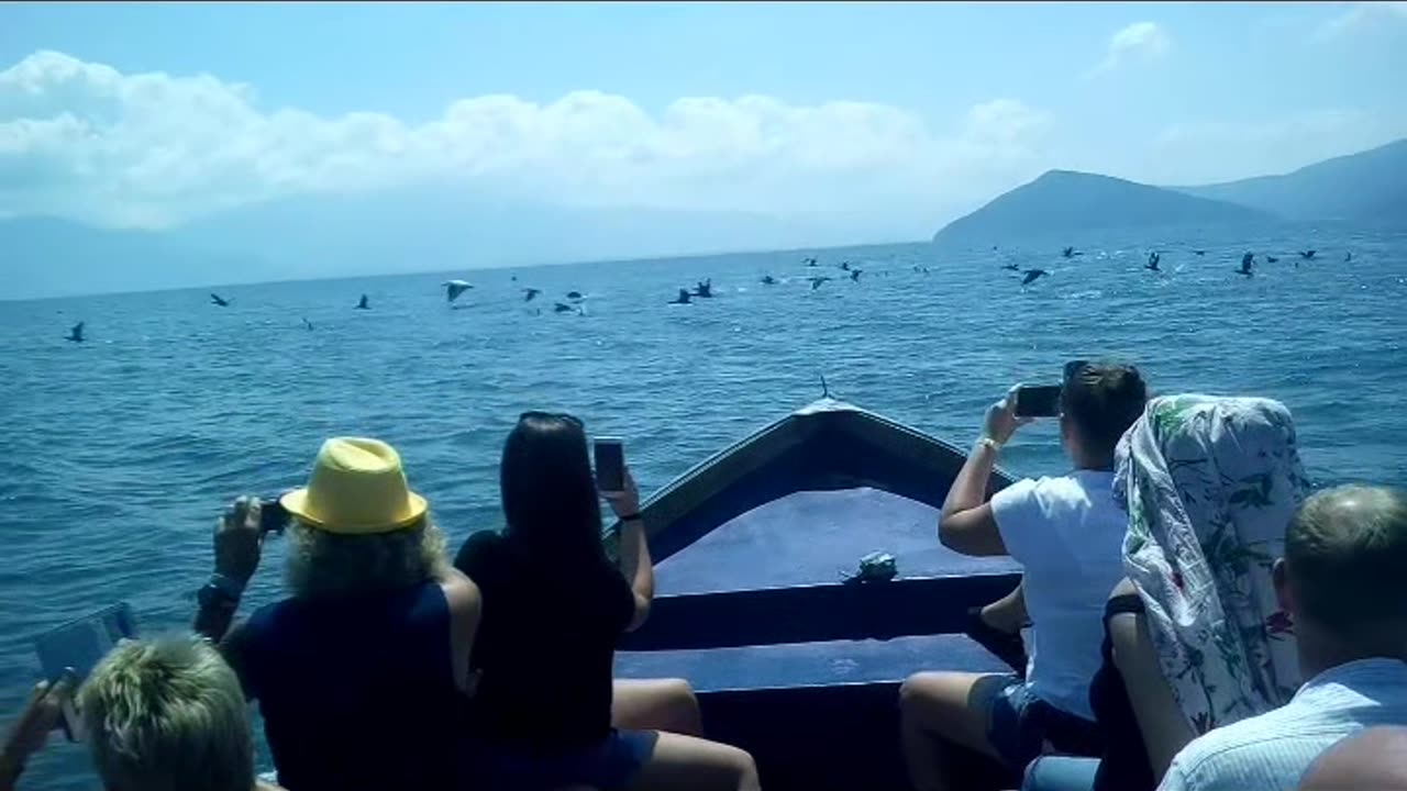 Visiting Pelican Island in Macedonia
