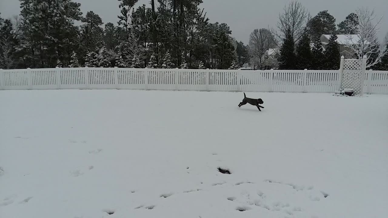 Belle's First Snow
