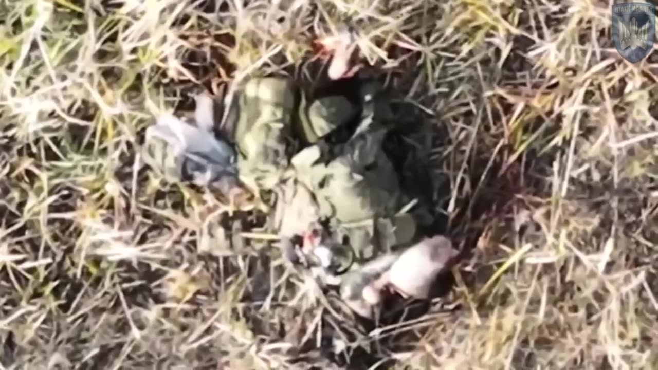 (INSANE) Russian Soldier Bisected by Drone Blast