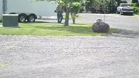 Loud engine sounds like passing gas, but it kinda IS!!!