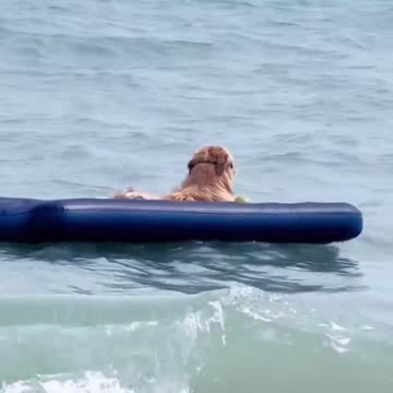 The good life.. 😅