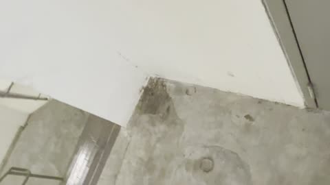 Secret Floor in a Shopping Mall