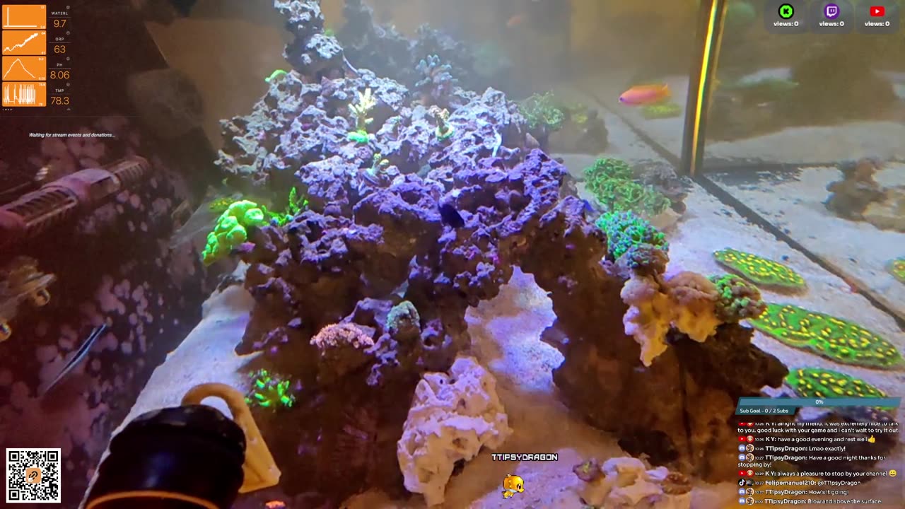 24/7 Real Live Reef Stream