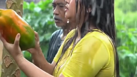Picking papaya