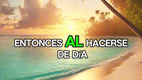 🙏✨Evangelio de hoy Miércoles, 3 de Septiembre del 2025✨🙏