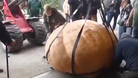 wonders of the world