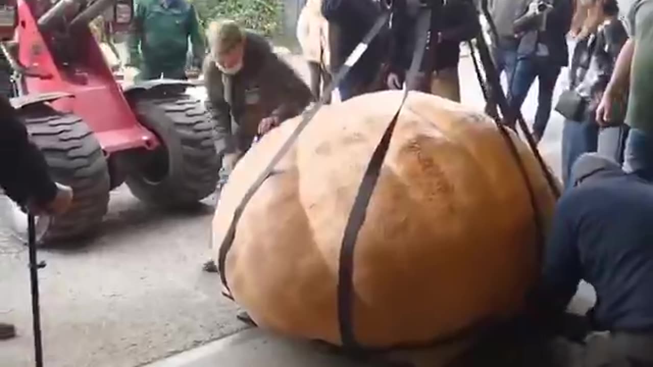 wonders of the world