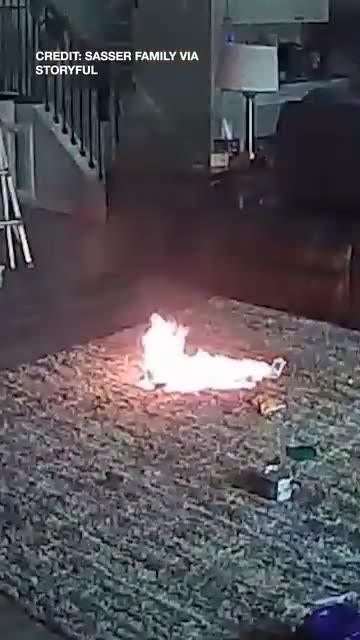 DOG CHEWS LITHIUM-ION BATTERY, IGNITES FIRE