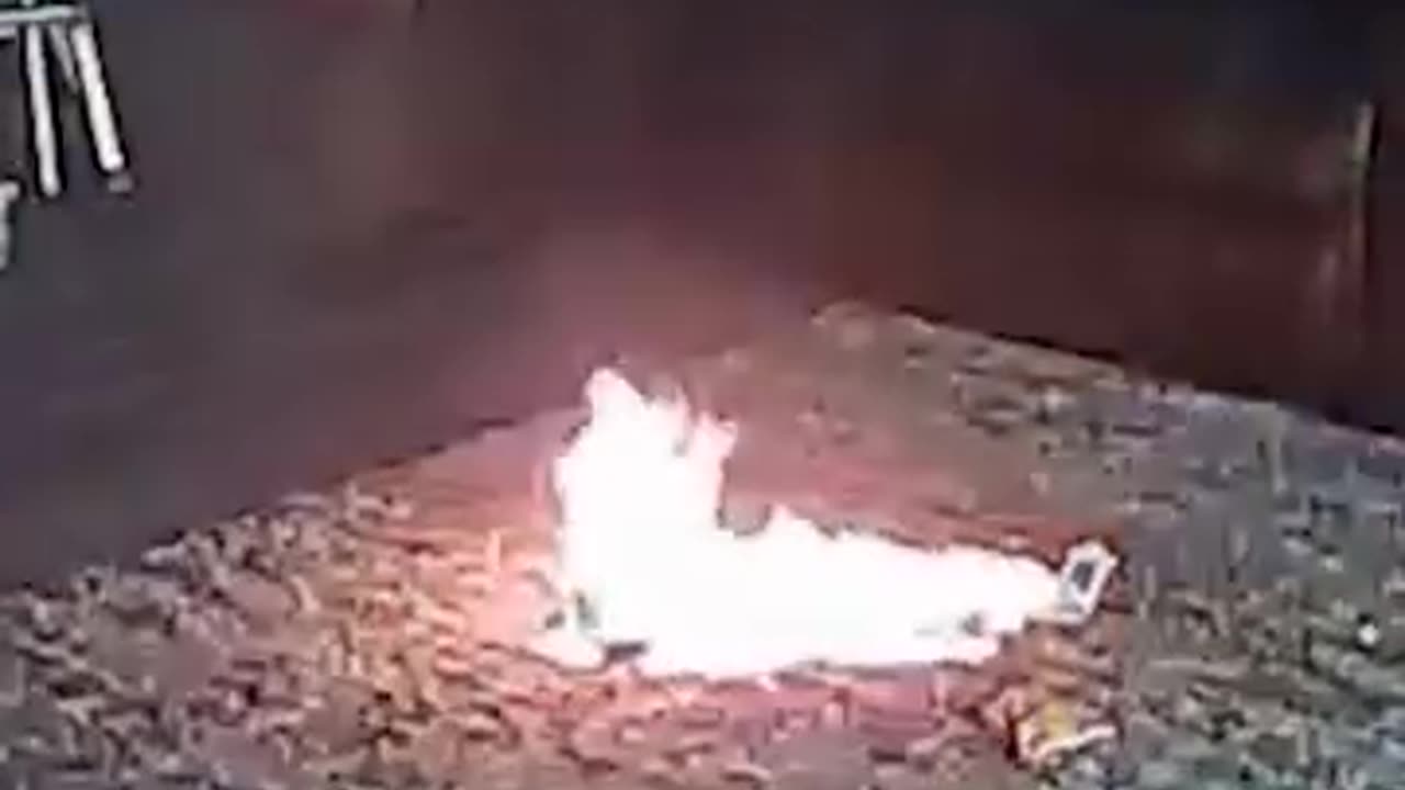 DOG CHEWS LITHIUM-ION BATTERY, IGNITES FIRE
