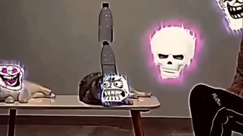 Cat Farming Aura 🏴‍☠️, cat, Sigma, troll face, reaction