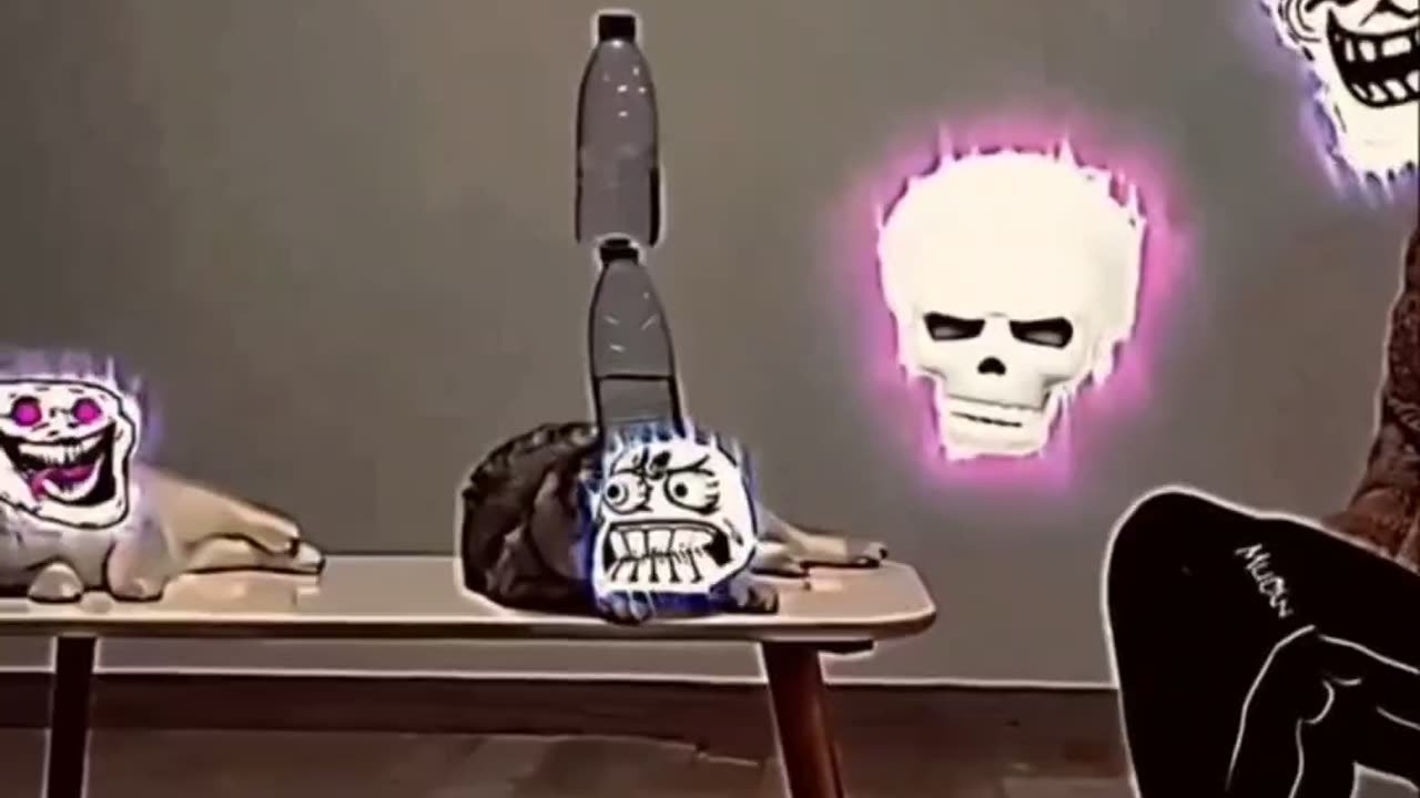 Cat Farming Aura 🏴‍☠️, cat, Sigma, troll face, reaction