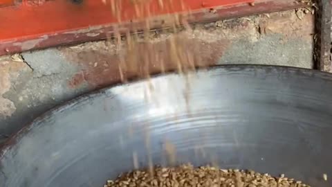 This Machine Turns Wheat Into Fresh Flour Instantly – Say Goodbye to the Mill!