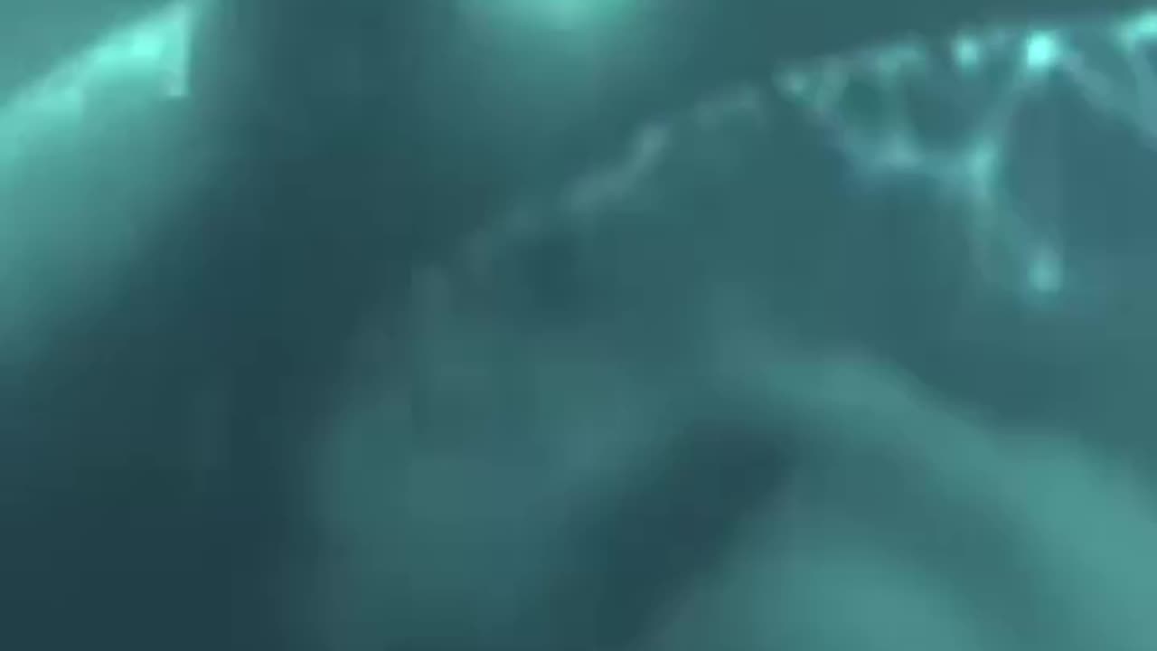 Watch and Smile Away 🌟 Turn off your brain and enjoy
