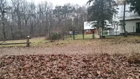 polukrować " ale "...