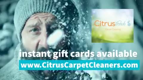 Rejuvenate Your Carpets with Citrus-Fresh Carpet Cleaners Now!