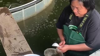 🤯💦 Wait Until You See This Unexpected Mud in Water! | FunFM