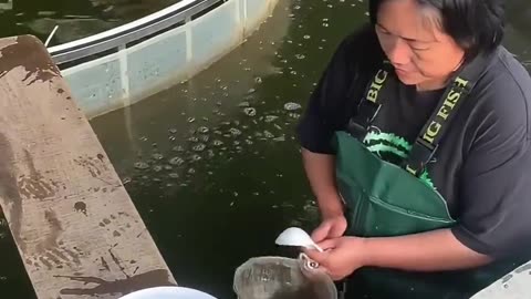 🤯💦 Wait Until You See This Unexpected Mud in Water! | FunFM
