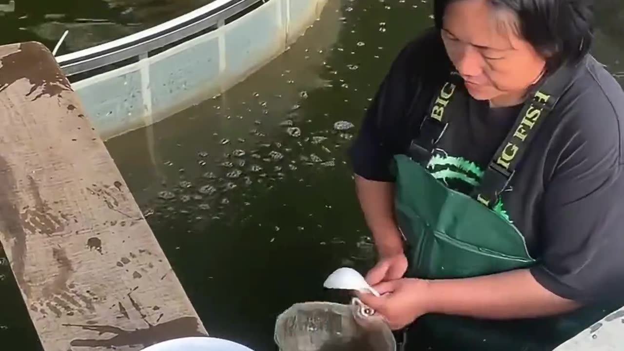 🤯💦 Wait Until You See This Unexpected Mud in Water! | FunFM
