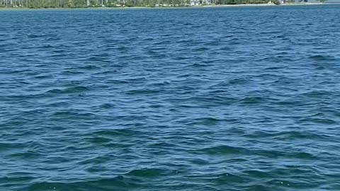 Breadcrumb: Cheboygan, MI #lakecruise #greatlakes