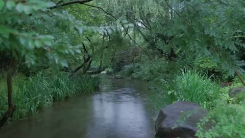 The beautiful little river is raining