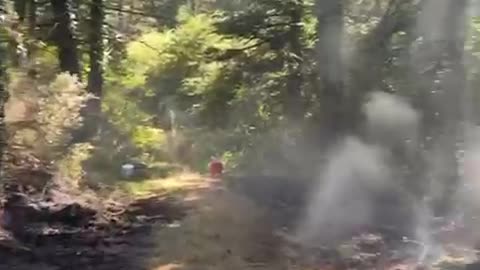 Zjarri përfshin parkun e Llogorasë, në rrezik pylli i pishave! Dyshohet i qëllimshëm 1