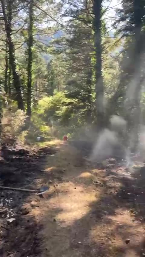 Zjarri përfshin parkun e Llogorasë, në rrezik pylli i pishave! Dyshohet i qëllimshëm 1
