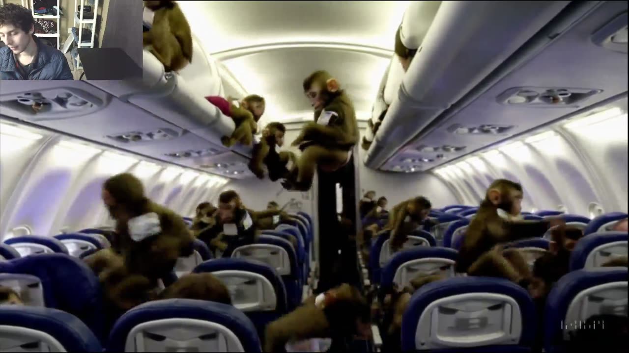 Outtake #1,113 Of Over 5 Monkeys Roam Around An Airplane Fake Funny Parody Video
