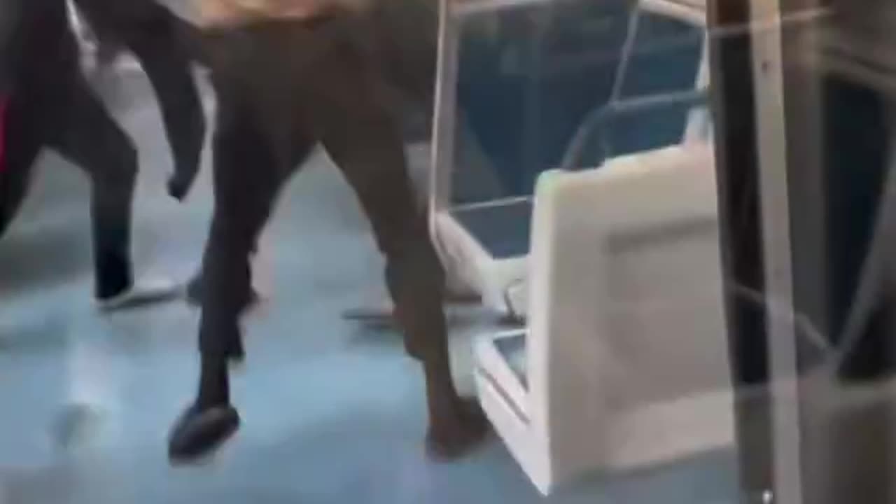 Man brutally attacked on train in Chicago by the usuals