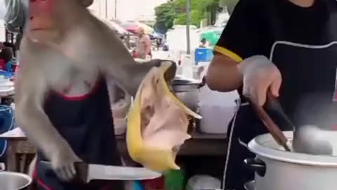 Butcher
