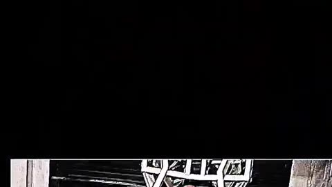 BackDay Workout Program Lat Pull down , Rows Resistance Machine Highlight