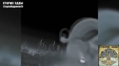 🔫👊 Ukraine Russia War | 144th Motorized Rifle Division Personnel Engage UAF Drones | RCF