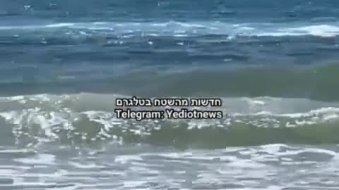 Hard to watch: Shark attack in Hadera Citizens report a diver attacked by a shark