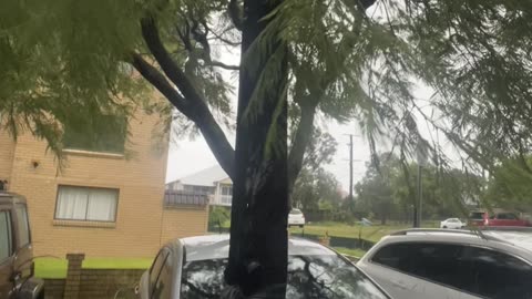 Gutter Stuck Through Windshield After Cyclone Alfred