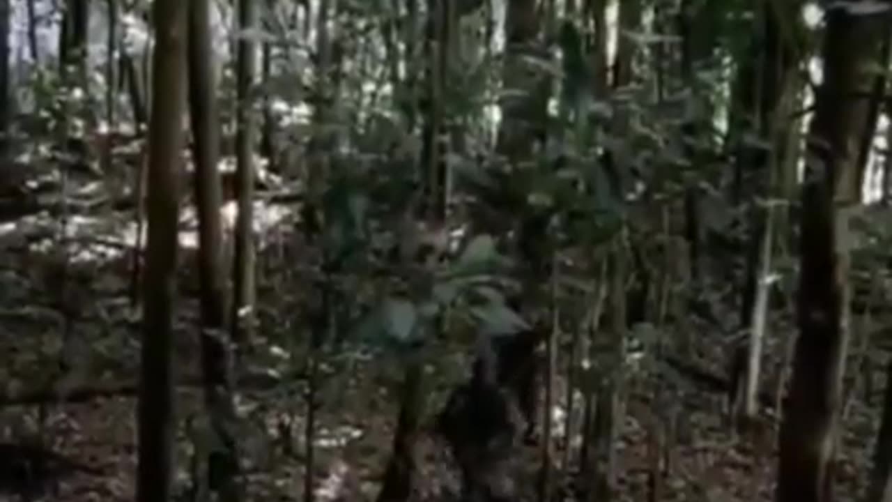 Full movie in english 🍿🍿🍿🍿