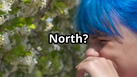 North West's Bold Blue Hair Debut