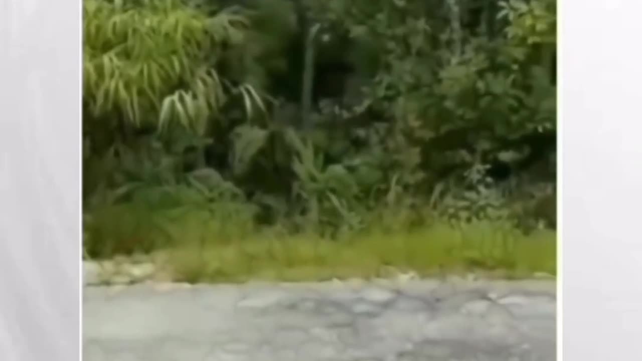 ππ₯ Hilarious Shorts | Laugh Till You Drop!
