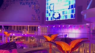 Shocking BRAWL on Wonder of the Seas Injures Guests!