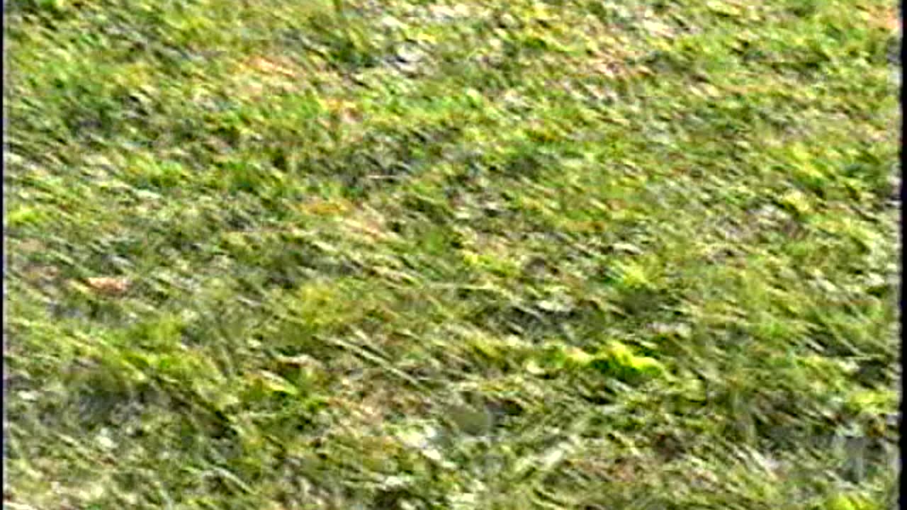 2001-NY-Oct-1